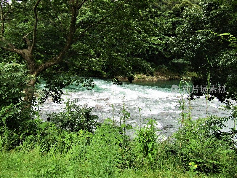 Japan. July. Rainy season. Stormy water flow in the mountain river